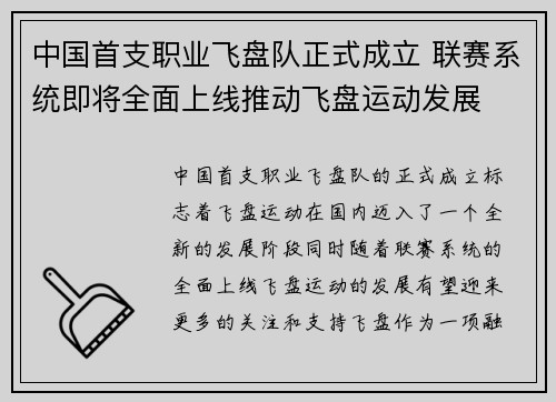中国首支职业飞盘队正式成立 联赛系统即将全面上线推动飞盘运动发展