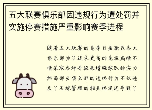 五大联赛俱乐部因违规行为遭处罚并实施停赛措施严重影响赛季进程